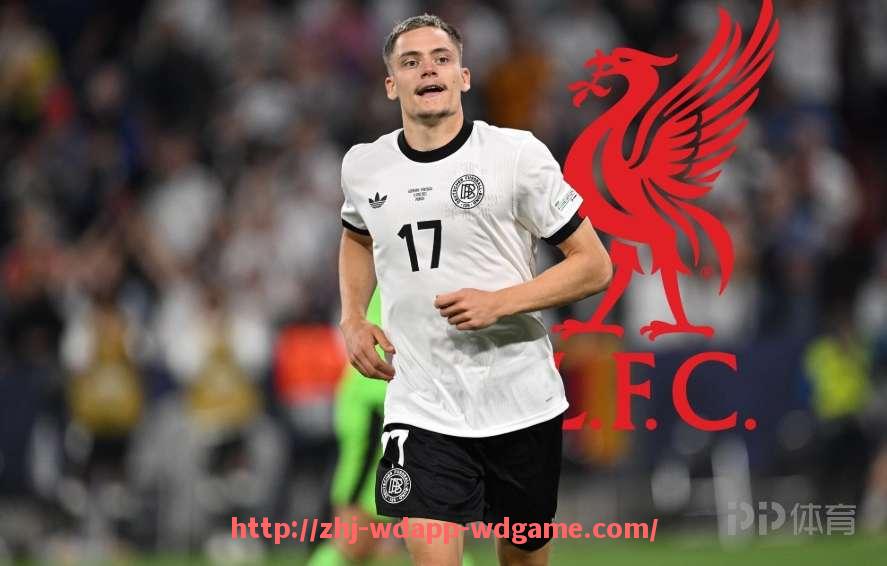 问鼎娱乐官网-中国企业收购英超球队的现状与未来发展前景