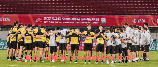 问鼎娱乐官网-NBA历史上的外籍球员代表人物盘点