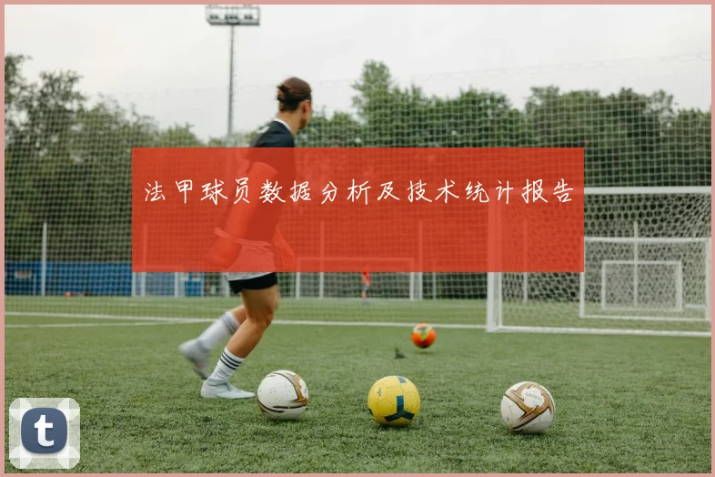 法甲球员数据分析及技术统计报告