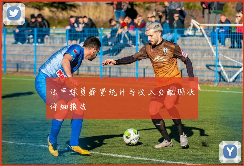 法甲球员薪资统计与收入分配现状详细报告