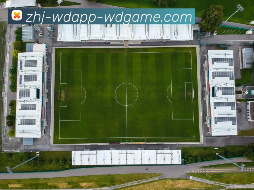 问鼎娱乐品牌故事