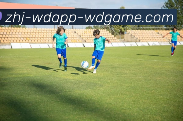 问鼎娱乐服务体系